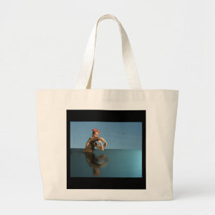 Bolso De Tela Gigante el beeing en el agua