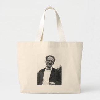 Bolso De Tela Gigante Erwin Schrodinger