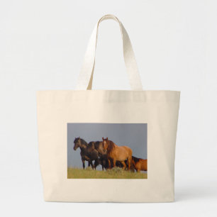 Bolso De Tela Gigante EveningPraire