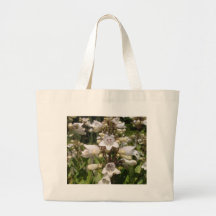 Flor Blanca
