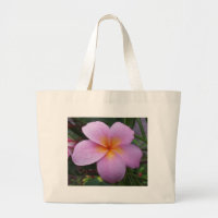Flor rosada del Plumeria de Hawaii