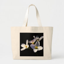 Flores de pratensis cardamina jtcnm