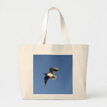 Gaviota pequeña