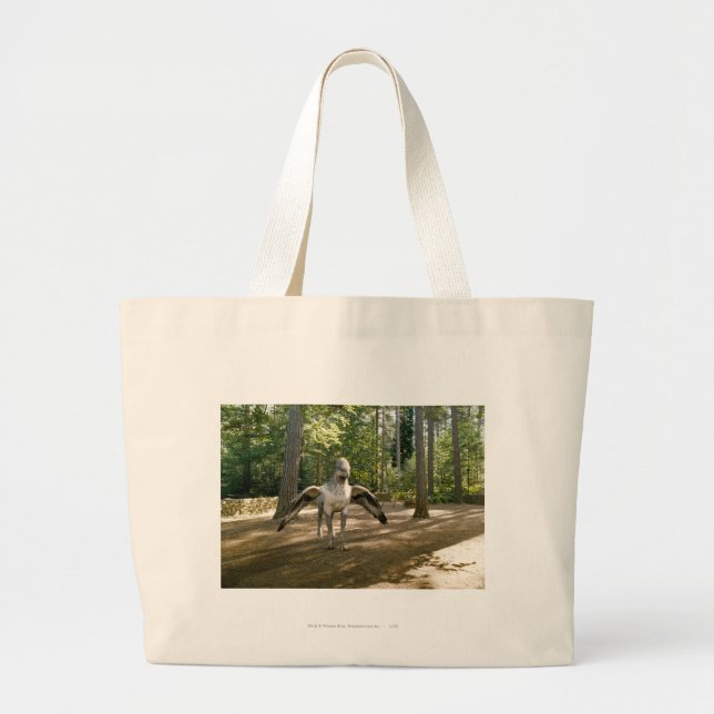 Bolso De Tela Gigante Hippogriff (Frente)