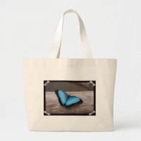 Mariposa azul de Morpho
