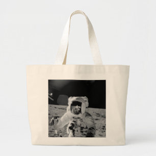 Bolso De Tela Gigante Muestra de suelo lunar