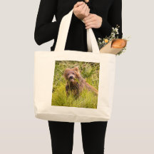 Pastoreo parduzco, Alaska