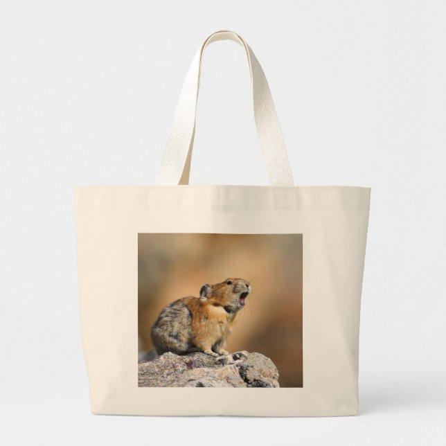 Bolso De Tela Gigante Pika (Frente)