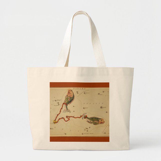 Bolso De Tela Gigante Pisces Bag (Frente)