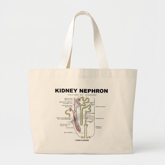 Bolso De Tela Gigante Riñón Nephron (Frente)