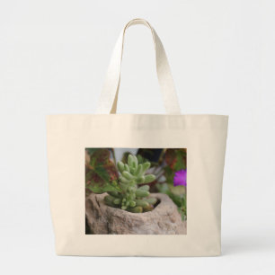Bolso De Tela Gigante Suculenta planta y planta de Chameleon
