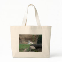 Tigre blanco peregrino