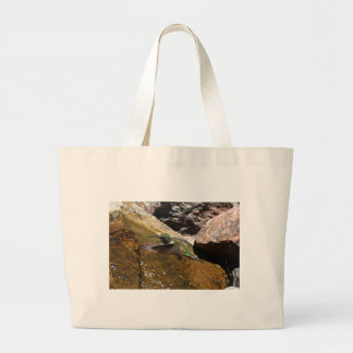 Bolso De Tela Gigante Tote de colibrí