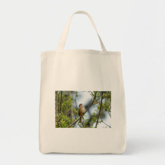 Bolso De Tela Gorrión de Corona Blanca – Fotografía de Arte Fino