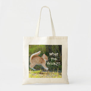 Bolso De Tela Graciosamente Sorprendió A Ginger Kitten. ¿Cuál es