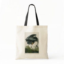 Gran garza azul, John James Audubon