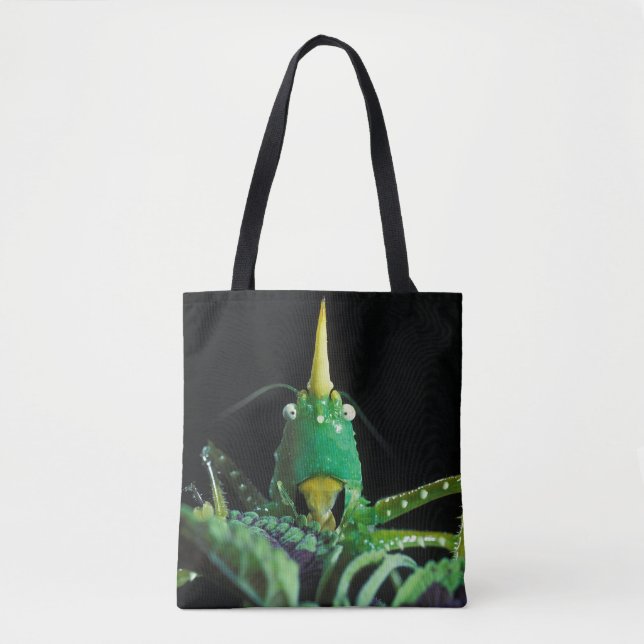 Bolso De Tela Grasshopper con Cabecera Cone (Anverso)