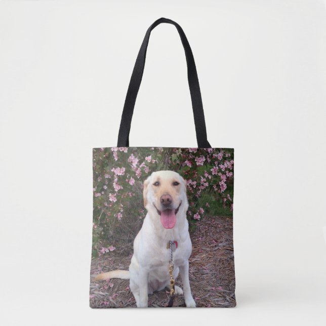 Bolso De Tela Grin (Anverso)
