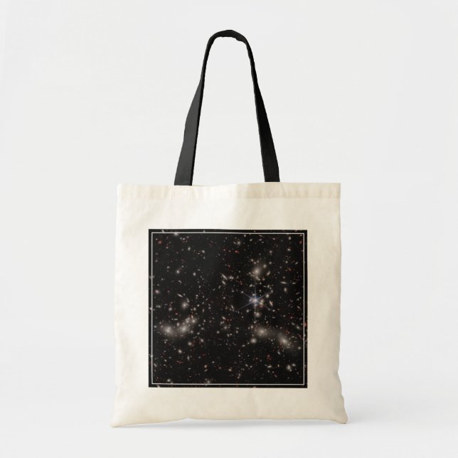 Bolso De Tela Grupo de Pandora (Frente)