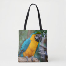 Guacamayo