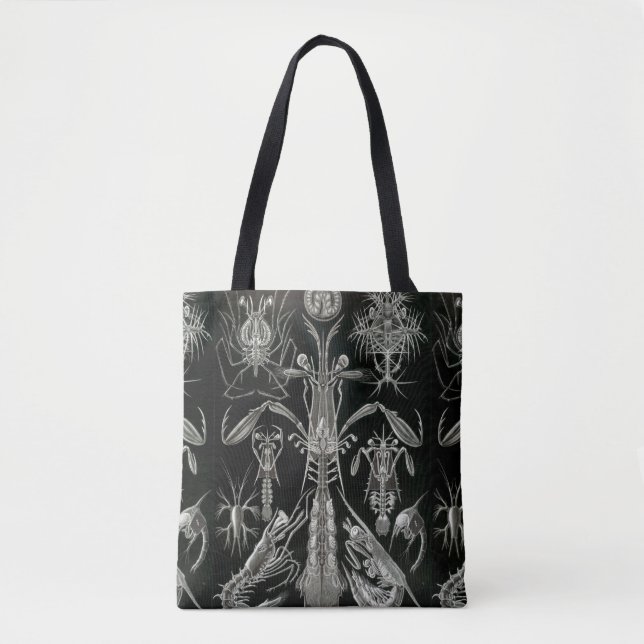Bolso De Tela Haeckel Negativo (Anverso)