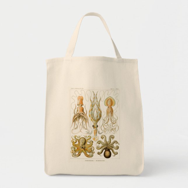 Bolso De Tela Haeckel Octopus (Frente)