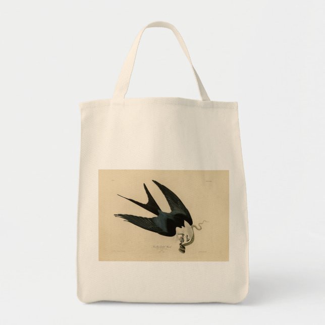 Bolso De Tela Halcón de cola ciega - Aves de América de Audubon (Frente)