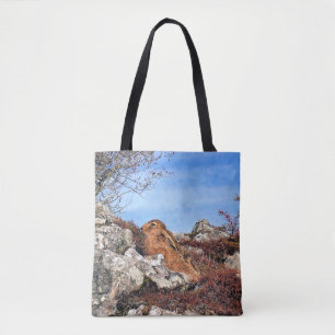 BOLSO DE TELA HARE