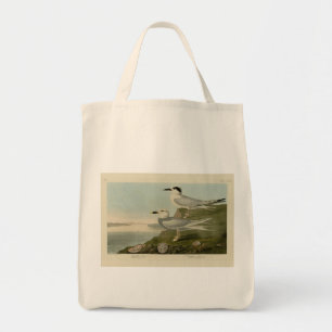 Bolso De Tela Havell's & Trudeau's Tern Audubon Birds of America
