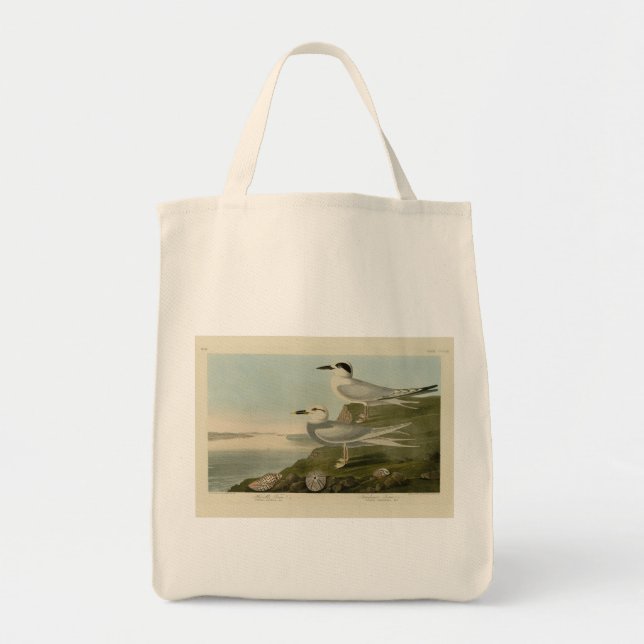 Bolso De Tela Havell's & Trudeau's Tern Audubon Birds of America (Frente)