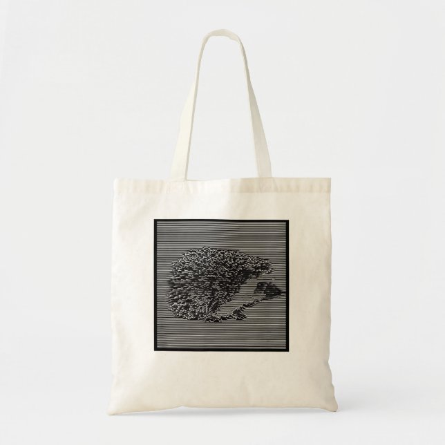 Bolso De Tela Hedgehog Joy Division Unknown Pleasantans (Frente)