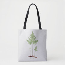 Heleno simple, Tote