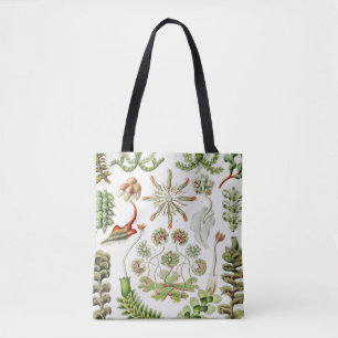 Bolso De Tela Hepaticaos Lebermoose por Ernst Haeckel