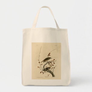 Bolso De Tela Hermit Thrush de los pájaros de América de Audubon