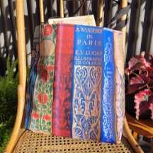 Hermosas espinas de libros