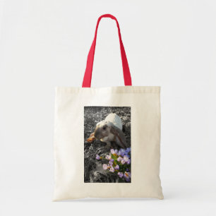Bolso De Tela Hermoso English Lop con Flores