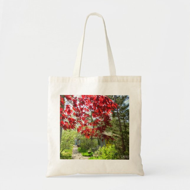 Bolso De Tela Hojas rojas y pasarela - Viñedo de Martha (Frente)