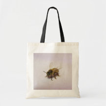 Honey Bee