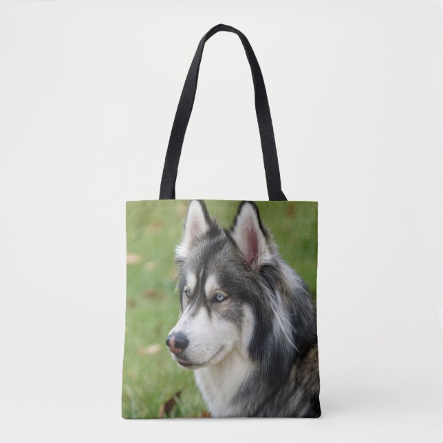 Bolso De Tela Husky (Anverso)