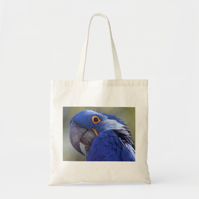 Bolso De Tela Hyacinth Macaw (Frente)