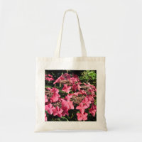 Hydrangea. Flores rosadas