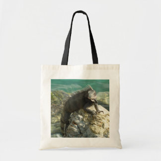 Bolso De Tela Iguana en las rocas en St. Thomas