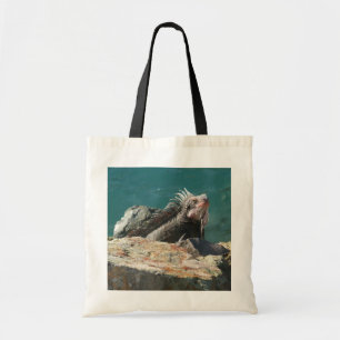 Bolso De Tela Iguana en St. Thomas