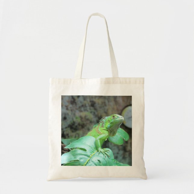 Bolso De Tela iguana verde (Frente)