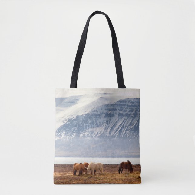BOLSO DE TELA ISLANDIA (Anverso)