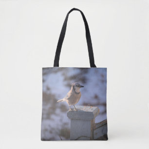 Bolso De Tela Jay azul