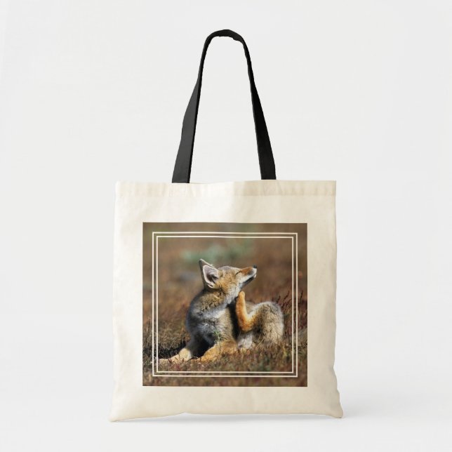 Bolso De Tela Jóven zorro gris en el Parque Nacional Torres Del  (Frente)