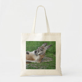Bolso De Tela Kangaroo