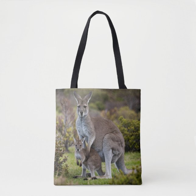 Bolso De Tela Kangaroo y Joey (Anverso)