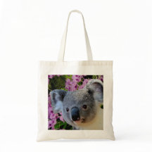 Koala y orquídeas
